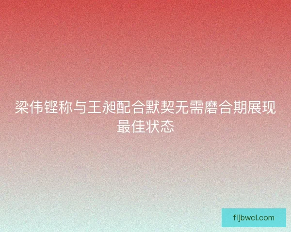梁伟铿称与王昶配合默契无需磨合期展现最佳状态